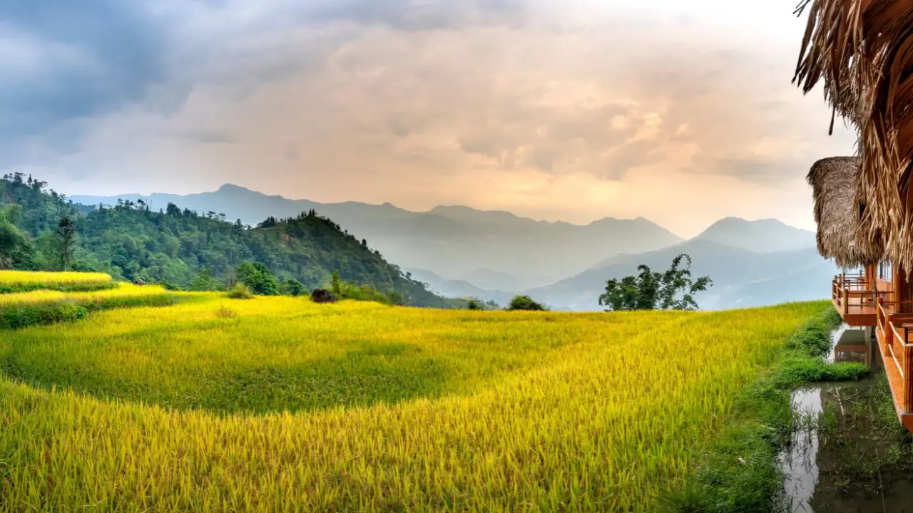 Badan usaha milik desa